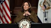 Kamala Harris faces racial 'DEI' attacks amid campaign for the 2024 presidency