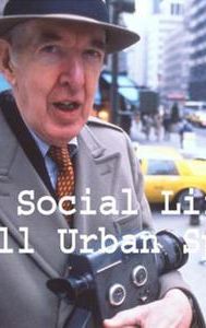 Social Life of Small Urban Spaces