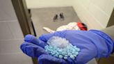 Fentanyl death threat gaining steam