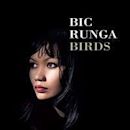 Birds (Bic Runga album)