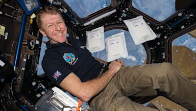 Sunita Williams and Butch Wilmore stranded on ISS are in no danger, says British astronaut Tim Peake