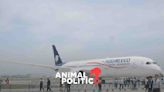 Aeroméxico suspende vuelos a Ecuador; la medida estará vigente hasta diciembre de 2024