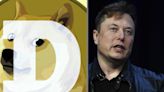 Dogecoin creator said he thought Elon Musk wanted to 'destroy' Twitter months ago