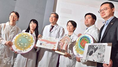 中大研「聰明導彈」治鼻咽癌 稱較化療更低價有效 盼4年後臨牀測試 - 20240621 - 港聞