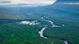 El extraordinario hallazgo en el río Orinoco que impresiona a todos