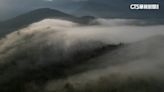 大雨前限時美景！ 南投「鹹菜甕」雲瀑如仙境