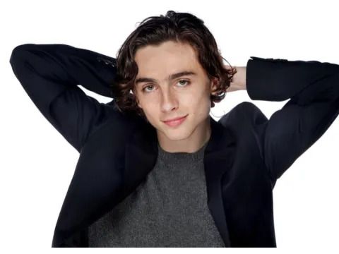 Timothée Chalamet Net Worth 2024: How Much Money Does He Make?