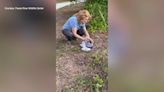 RELEASED: Bird makes full recovery after cat capture in Charlotte County