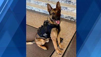 Jeannette K-9 unit terminated effective immediately