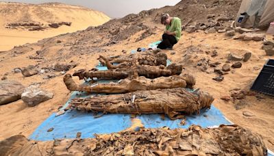 Excavators studying ancient Egyptian tombs discovered that even the ultra-wealthy suffered from disease and malnutrition