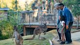 Seniors get free admission to San Diego Zoo Safari Park in February