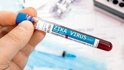 Govt asks states to maintain vigil, focus on screening pregnant women as zika virus cases rise in Maharashtra