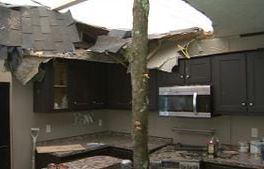 Hall Co. family homeless after tree crashes through their home during quick but powerful storm