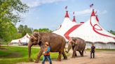 Elephants have been coming to Baraboo since 1888. After August, they won't return