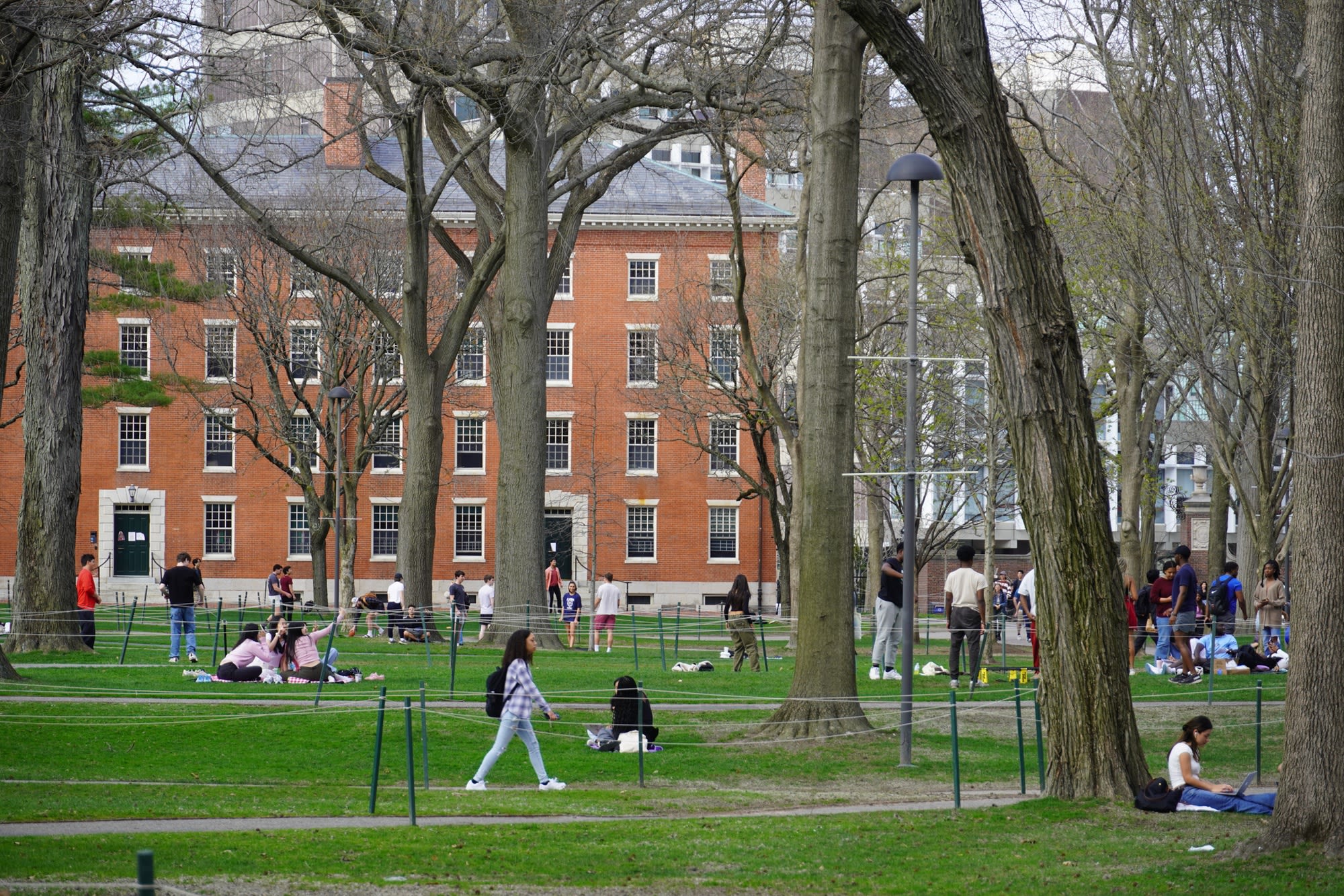 Harvard To Install 3-Foot Barriers During Freshmen Move Out as Yard Remains Occupied | News | The Harvard Crimson