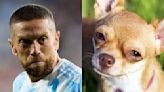 El hilo viral que compara a los jugadores de la selección argentina con perros: “El galgo Di María”