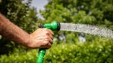 How to protect your garden during the heatwave as temperatures soar