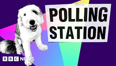 Polling station pets include dogs, horse and snake