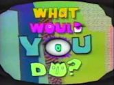 What Would You Do? (1991 TV program)