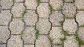 I'm a patio pro with a 50p trick that removes stubborn stains from driveways