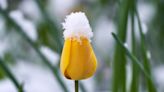 No April fool: Almost every province could see snow this week