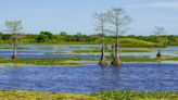 Trump Rolled Back Decades Of Clean Water Protections. The Supreme Court Just Went Even Further.