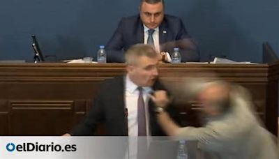 Tensión en el Parlamento de Georgia después de que el jefe de la oposición agrediera a un miembro del Gobierno