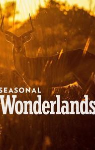 Seasonal Wonderlands