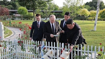 Kim Jong-un presenteia Vladimir Putin com cães da raça pungsan