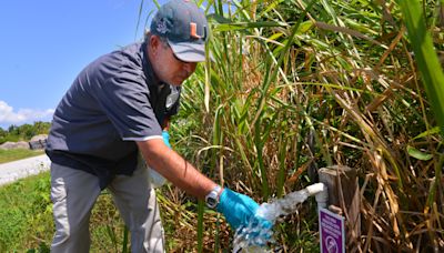 UF study: Reclaimed water 'major' source of toxic 'forever' chemicals in Brevard soils