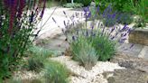 7 gravel garden ideas: Design, planting and maintenance for a gorgeous gravel space