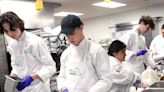 FHS culinary team heading to national ProStart competition