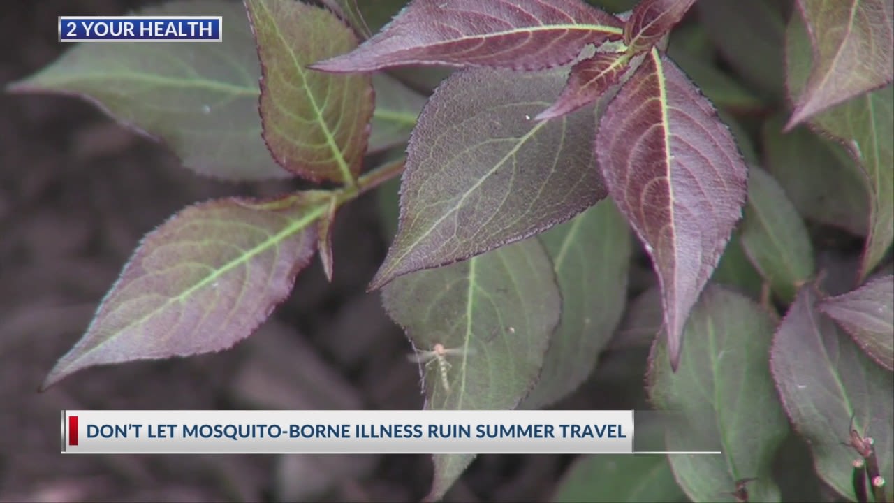 2 Your Health: Don’t let mosquito borne illness ruin summer travel