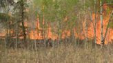 Wildfires increase in Saskatchewan due to hot, dry conditions | Globalnews.ca