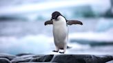Linux kernel 6.10 officially rolls out: Here's what's new and improved