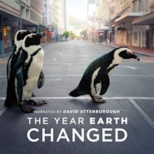 The Year Earth Changed movie review 2021 – Movie Review Mom