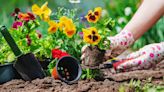 What You Should Plant in Your Garden, Based on Your Zodiac Sign