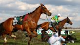 How many horses have died in the Grand National and why do some people want jump-racing banned?