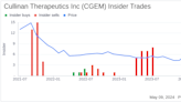 Insider Sale at Cullinan Therapeutics Inc (CGEM): Chief Scientific Officer Jennifer Michaelson ...