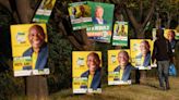 What happens if ANC loses majority in South Africa election?