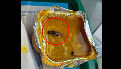 Vande Bharat passengers claims finding dead cockroach in meal, IRCTC imposes penalty on service provider