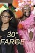 30° farge