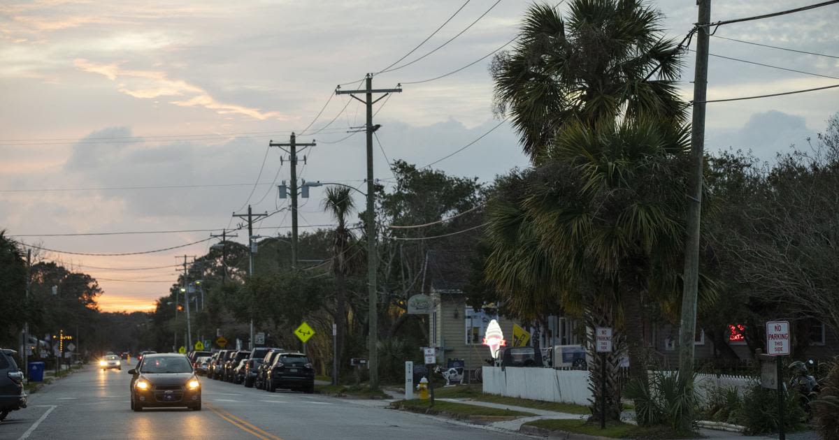 Dominion to remove over 500 Palmetto trees on Sullivan's Island. Can some be saved?