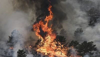 Suspect charged with arson in wildfire that destroyed 29 homes