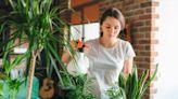 Gardeners issued warning over ‘poisonous’ houseplant they may have at home