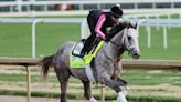 These Are the Top-Ranking Horses Competing in Saturday's Kentucky Derby