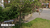 Leatherhead: Man suffers serious injuries during assault