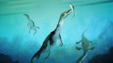 246-million-year-old fossil of polar sea reptile fossil identified