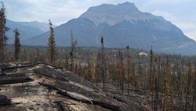 Jasper wildfire: Parks Canada says sprinkler system set up along townsite’s fireguard | Globalnews.ca