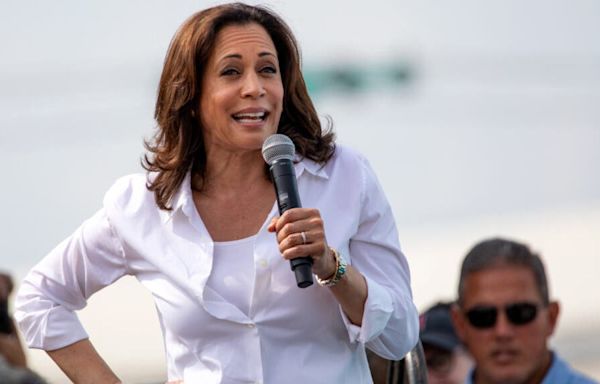 Nancy Pelosi Vs. Kamala Harris: Poll Shows Who People Think Is the Better Investor